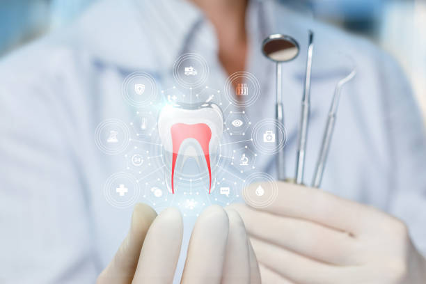 Holistic Dental Services